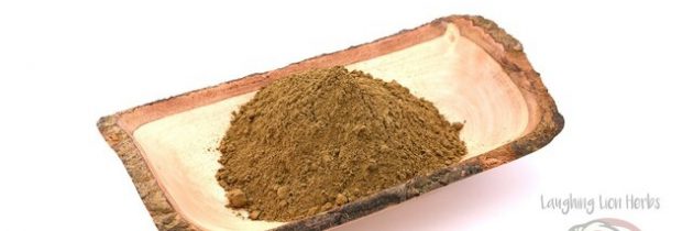 What to Consider When Shopping for Kava Powder