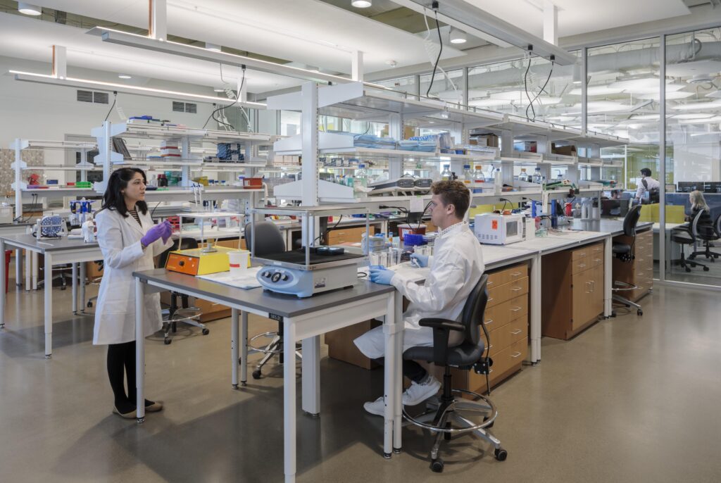 The Importance of High-Quality School Laboratory Equipment