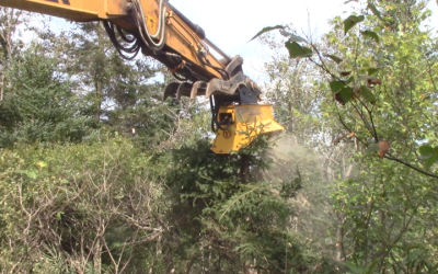 Brush Cutters for Mini Excavators Make Excellent Tools