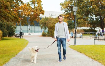 The Many Benefits Of Hiring A Dog Daycare In Upper East Side