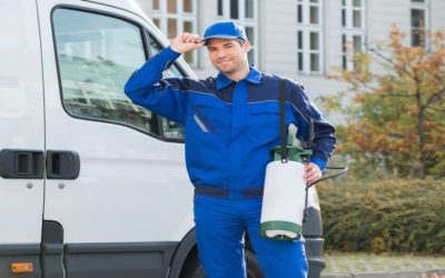 Pests Got You Down? Commercial Pest Control In Melbourne Can Set You Free