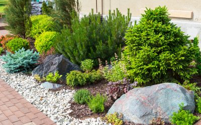 Mastering Outdoor Aesthetics: Premium Landscape Design Services in Springfield,MO