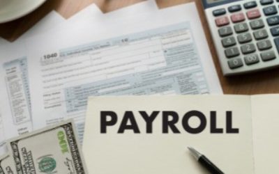 Explore the Best Payroll Solutions Tailored for Small Businesses