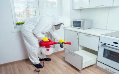 Why Choose Exterminator Peachtree City GA for Reliable Pest Solutions